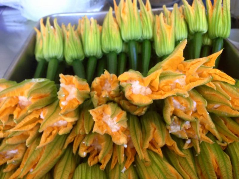 zucchini-flowers
